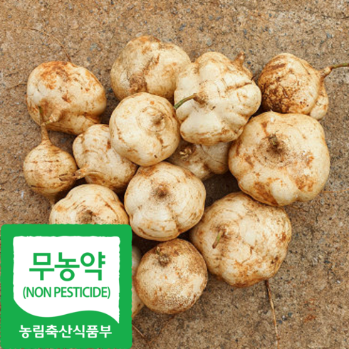 산지직송 함평 유기농 히카마 멕시코감자 얌빈 맥시코감자, 1박스, 3kg