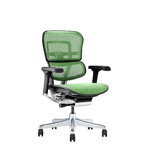 에르고휴먼 - 에르고휴먼 2 EHP2-LPL-BF-BK office desk chair, 프레임: 블랙  메쉬: 그린