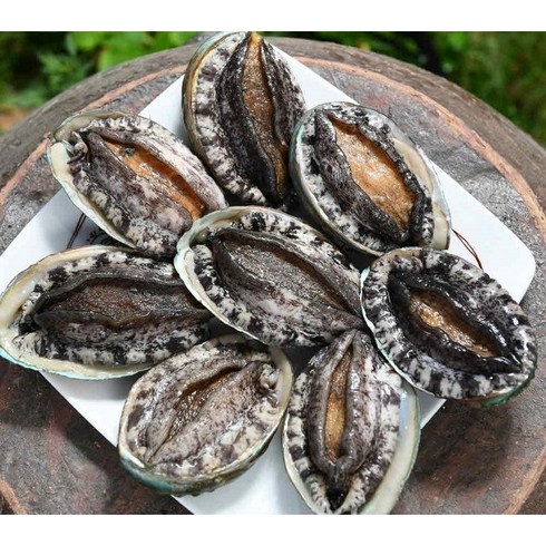 (설 선물세트)명품4호 대전복 선물세트 1.5kg(1kg 12미~13미)+고급선물가방, 명품5호 1.5kg(1kg7~8미)+선물포장, 특대전복 1.5kg
