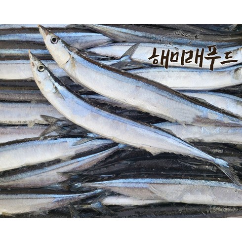 꽁치 냉동꽁치 생선구이 대용량 11kg, 1개