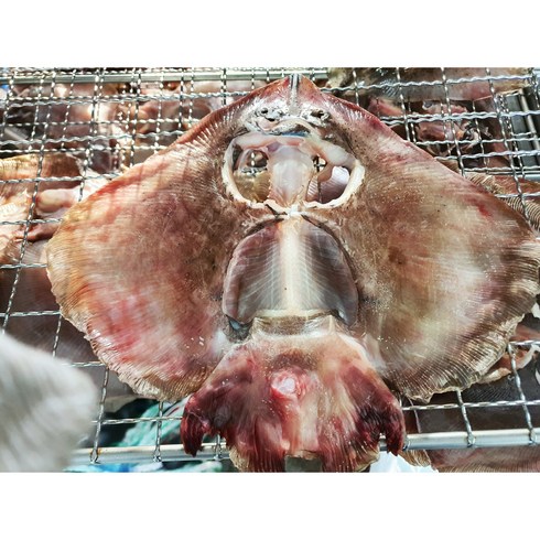 국내산자연산 반건조 손질 간재미 250g13팩 - 맛있는 반건조 간재미 간자미 깔끔하고 신선해요, 1.6KG 내외 (중 사이즈 4미), 1개