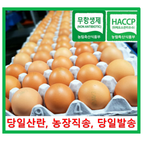 에그 - [알부자집] 무항생제계란 대란(52g~59g), 30구, 3개