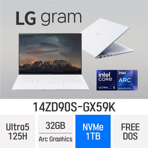 14zd90s - LG전자 2024 그램14 14ZD90S-GX59K, Free DOS, 32GB, 1TB, 에센스 화이트