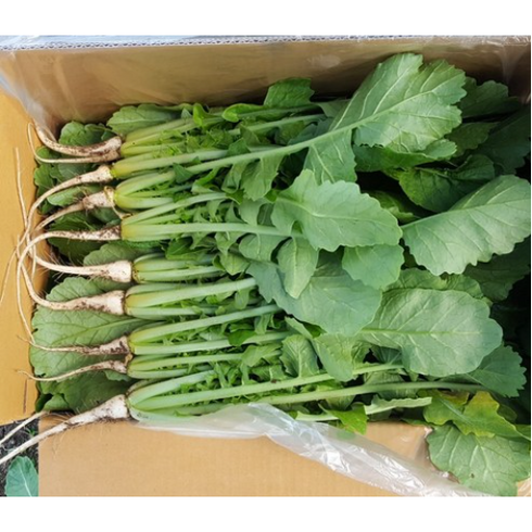 야채왕 국내산 싱싱한 열무 중량별, 열무4kg, 1개