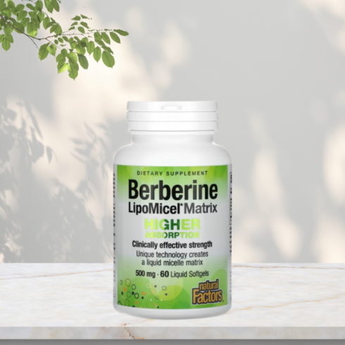 내츄럴팩터 리포미셀 베르베린 Berberine LipoMicel Matrix, 1개, 60정