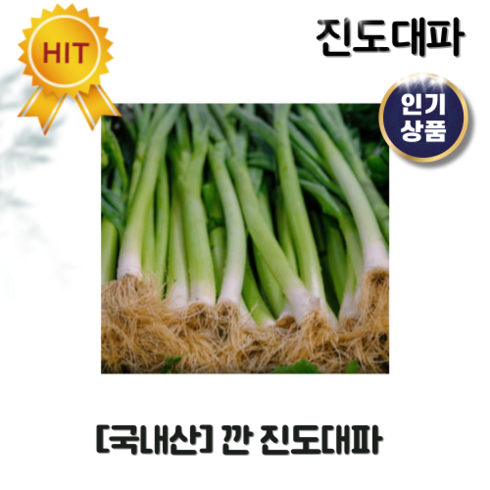 국내산 산지직송 진도대파 5kg 10kg 15kg 20kg 25kg 손질 깐대파 진도 깐 대파 제철 음식 농산물 맵지않은 파 손질대파 대파1단 쪽파 흙대파 국내산대파, 1개, 5키로