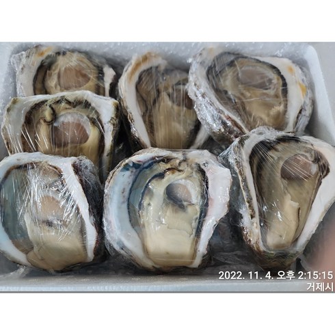 거제해녀가 채취한 바위굴 하프 5kg, 1개
