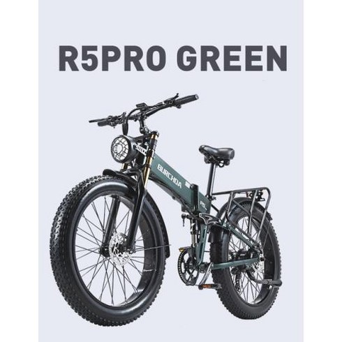 엑스라이더x200프로 - 부릉이 R5PRO 접이식 전기 자전거 성인용 산악 1000W 48V 16AH, 1) black  1000W Motor