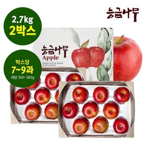 [능금나무] 미시마 못난이사과 2.7kg(대과 7-9과) 2박스, 단품