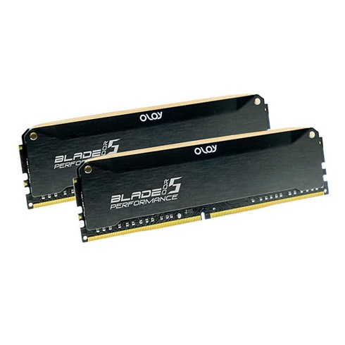 2023년 가성비 최고 문화상품권5만원 - OLOy DDR5 RAM 32GB (2x16GB) 블랙 헤어라인 블레이드 5600 MHz CL40 1.25V UDIMM (MD5U1656402BRLDE), 5600 MHz (C40)_Black Hairline