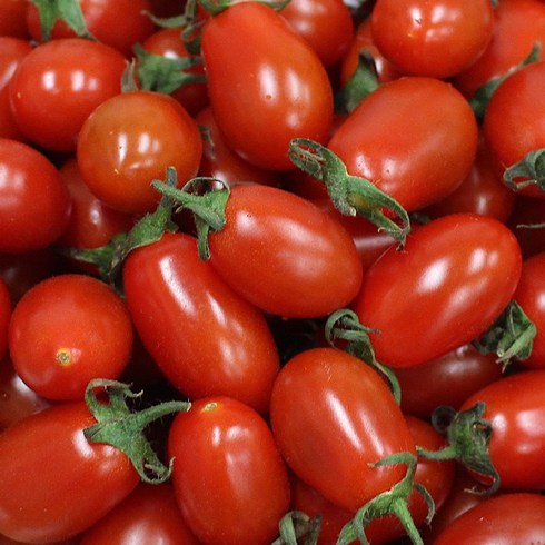 대한농산 대추 방울 토마토 5KG내외(3-4번과), 1개, 5kg