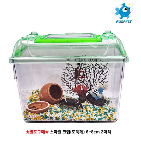 스마일 크랩(도둑게)키우기-클린 채집통(대)세트 시리즈, 세트A
