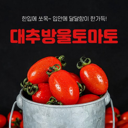 대추방울토마토 5kg(4-5번과), 단일속성