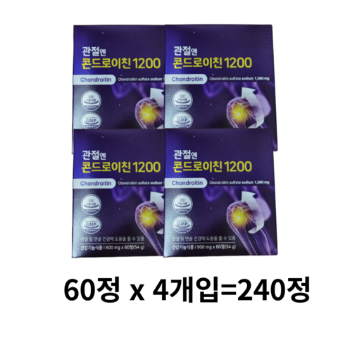 콘드로이친 관절엔 콘드로이친1200, 240정, 1개