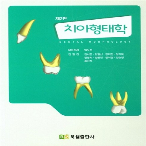 NSB9791188516131 새책-스테이책터 [치아형태학]-제2판-북샘-임도선 외 지음-기초 치과학-20180228 출간-판형 188x257(B5), 치아형태학