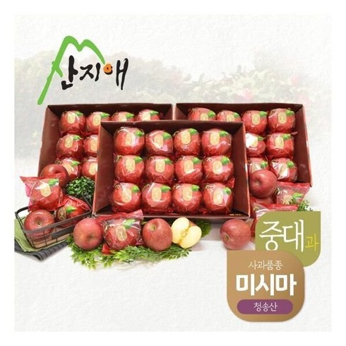 [산지애] 사과 9kg (3kgx3박스 27~39과)/중대과 청송 미시마 세척사과, 단품