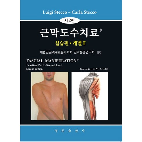 근막도수치료 실습편 레벨2, Luigi Stecco,Carla Stecco 공..., 영문출판사