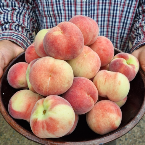 납작복숭아 - 고당도 프리미엄 대극천 반납작 복숭아, 1개, 2kg (8-16과)