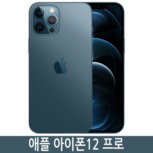 2023년 가성비 최고 아이폰15프로맥스 자급제 - Apple 아이폰 12 Pro Max 자급제, 퍼시픽 블루, 256GB