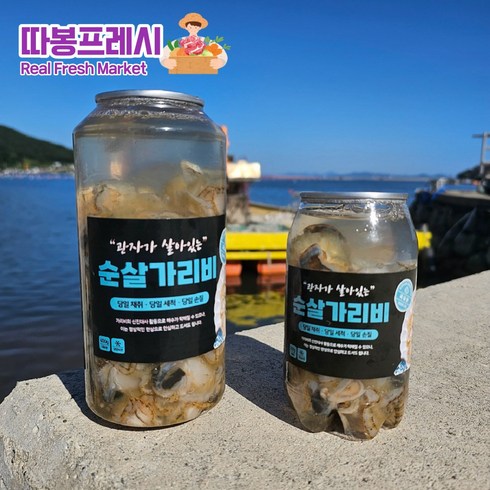 가리비 TOP01