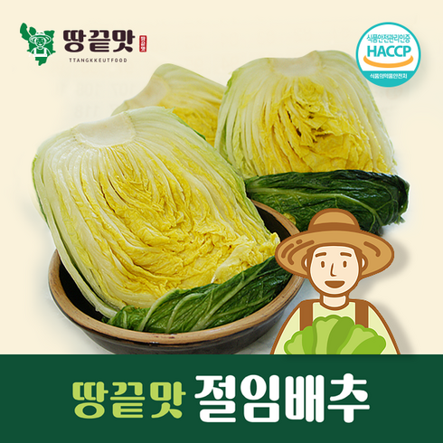 2023년 가성비 최고 절임배추 - 땅끝맛 해남절임배추20kg 깨끗하고 맛있게 절인 절임배추, 11월16일발송-17일(금)도착, 20kg