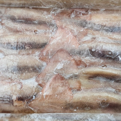 +육동 베이트 오징어 3kg (9-10P) 업소용 냉동오징어 수입오징어, 1개