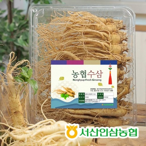 기타 6년근! 특등급! 환절기 건강관리! 서산인삼농협 국내산 햇수삼 900g, 1