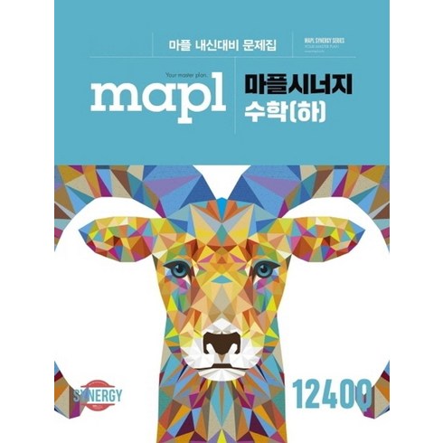 마플시너지 - 마플시너지 고등 수학(하)(2024):마플 내신대비 문제집, 수학 (하)