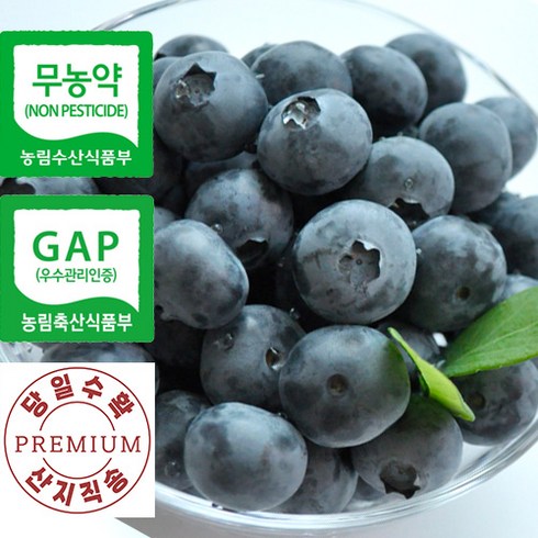 [장산농원] 무농약 GAP 인증 국내산 유기농 맛있는 생 블루베리 생과 대/특대과 1Kg, 1kg(대과/특과, 16~18mm), 1개