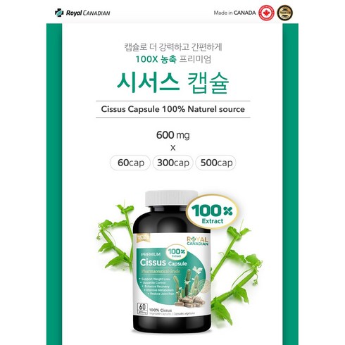 로얄캐네디언 시서스 100배농축 300캡슐 60캡슐 하루2알 1개월분 캐나다 본사인증정품, 60정, 2개