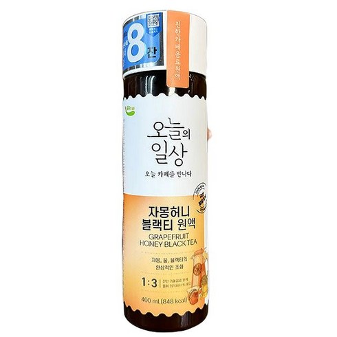 오늘의 일상 자몽 허니 블랙티 원액 400ml x 1개 아이스박스, 단품