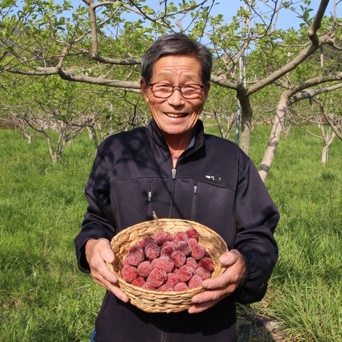 경남밀양 꾸지뽕열매 5kg 농원직송 산따담 2023 햇열매, 1개