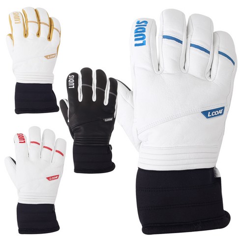 2023년 가성비 최고 루디스lcoat - 19/20 루디스 스키장갑 LCOAT, (BU)