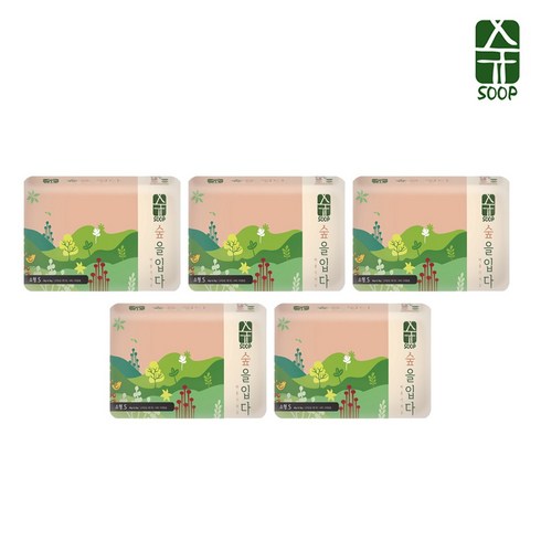 숲바른기저귀 - 숲바른 기저귀 밴드형(소형) 34p x 5팩 170매, 소형(S)
