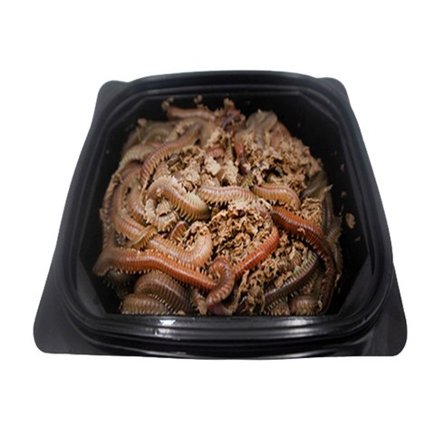 갯지렁이 청갯지렁이 청개비 60g 100g 250g 500g 1kg 순수 지렁이무게