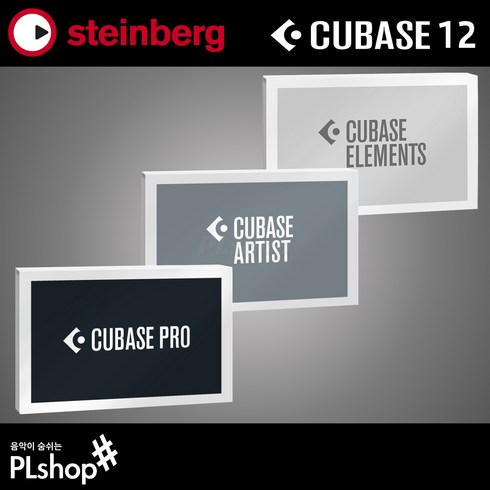 큐베이스프로 - STEINBERG 큐베이스 12 엘리먼트 아티스트 프로 교육용 일반용 Cubase 12, 일반용 아티스트