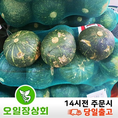 국내산 단호박 밤호박 12~15수 5kg내외 멍자국 스크레치 사진참고, 1개, 멍,스크레치5kg