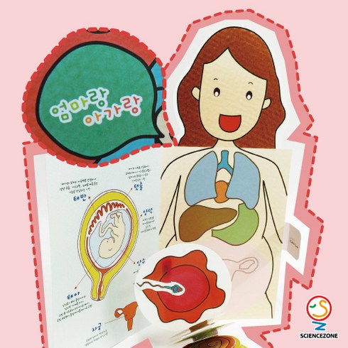 사이언스존 [엄마랑 아가랑(임신과 출산) 5인용] 과학실험 과학교구 과학실험키트 창의력 학습교구