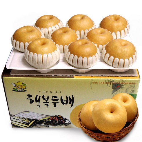 서양배 TOP01