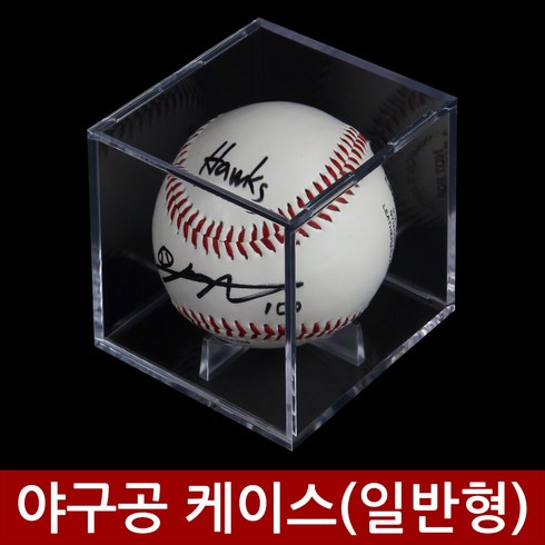 야구공케이스 - 와이제이 코퍼레이션 야구공 케이스(일반형-큐브A형), 1개