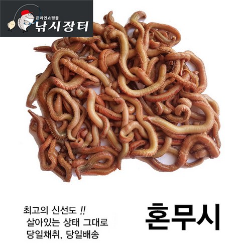 혼무시 - [낚시장터] 혼무시(200g) 홍거시 홍무시 홍지렁이 원투미끼, 1개, 200g