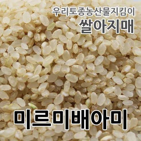 쌀아지매 TOP01