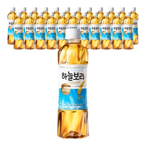 웅진 하늘보리, 40개, 500ml