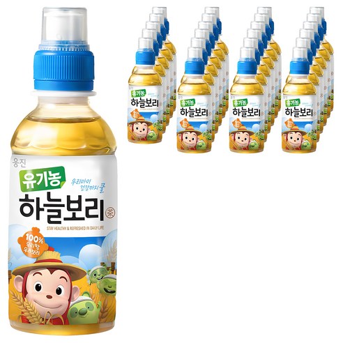 웅진 유기농 하늘보리차, 보리, 200ml, 24개