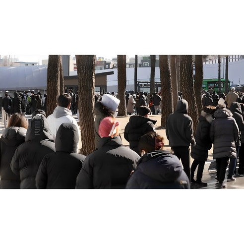 1+1 에버랜드 롯데월드 서울랜드 놀이동산 오픈런 줄서기 웨이팅 청소년 접의식 간의의자, 블랙+블루