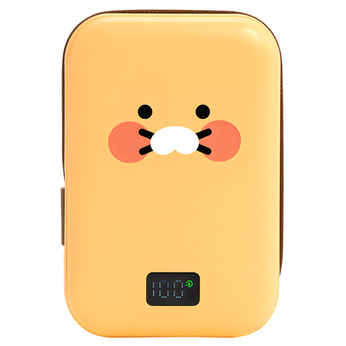 카카오프렌즈 케이블형 맥세이프 보조배터리 20000mAh C타입 / USB A타입, 춘식이