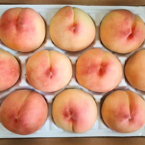 거반도 납작 복숭아 초고당도 백도 백화점 납품용 한정수량 1kg, 1박스, 프리미엄 로얄과 1kg (4-7과 내외) 11 우연팜 실패없는 복숭아, 1박스, 실패없는복숭아 4kg 25과내외
