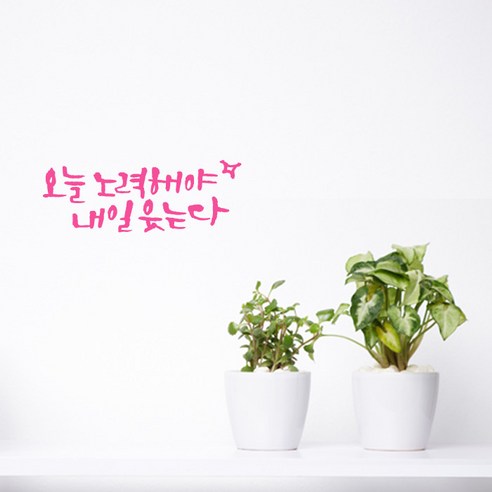 1AM 미니 캘리그라피 포인트스티커 오늘노력, 핑크, 1개