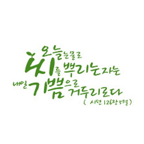 오늘 눈물로 씨를(211), 올리브