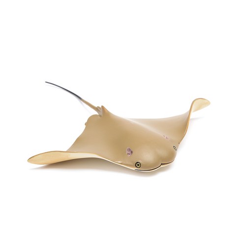 161305 카우노즈가오리 Cownose Ray, 혼합, 19x21x2.5cm, 1개